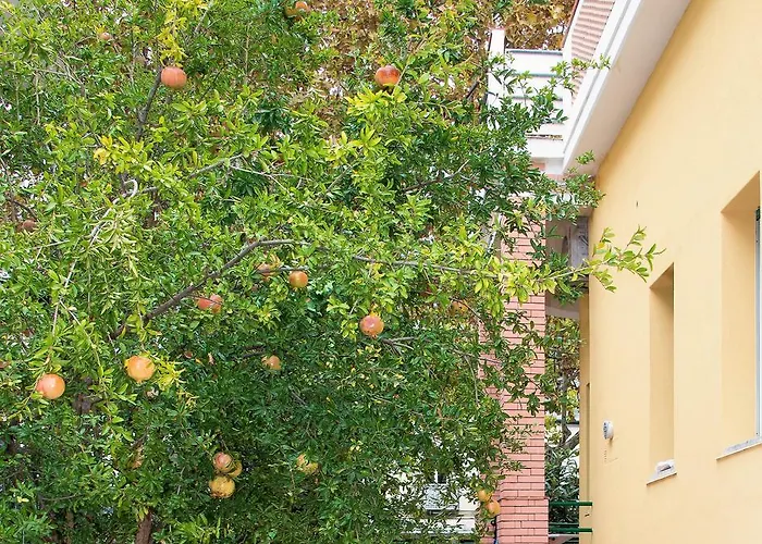 Anna פראייה א מארה