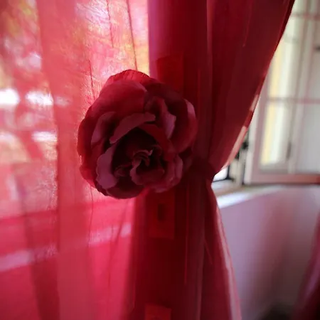 Anna 3*